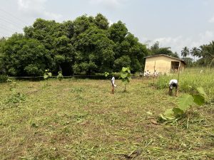 Baumpflanzprojekt Kamerun Spende GWP an Kids Development Center Bäume in 2026