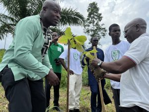 Baumpflanzprojekt Kamerun Spende GWP an Kids Development Center Pflanzung der Bäume